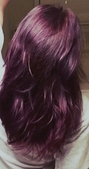 Ion brilliance 2 purple, #eggplant, #purplehair, applied to light Ashe brown hair #sallys Purple Over Brown Hair No Bleach, Purple Hair Over Brown, Purple On Light Brown Hair, Purple Medium Hair, Purple Dye On Brown Hair, Muted Purple Hair, Brown Hair Dyed Purple, Eggplant Purple Hair, Warm Purple Hair