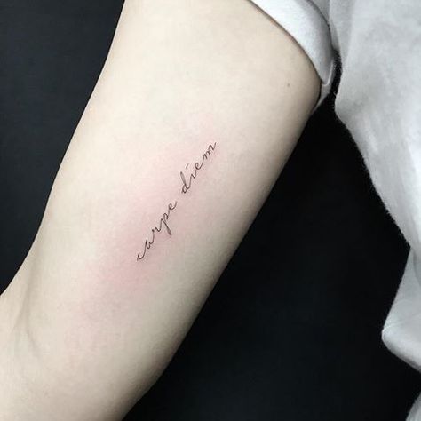 •Carpe diem• Tats Designs, Tattoo Carpe Diem, Tattoo Inner Arm, Latin Tattoo, Chicago Typewriter, Inner Arm Tattoos, Cursive Tattoos, Inner Arm Tattoo, Petite Tattoos