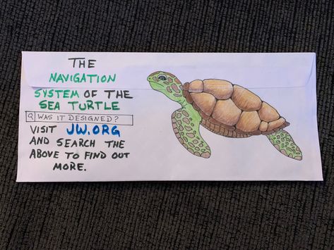 JW Letter Writing Envelope - Was It Designed? - The Navigation System of the Sea Turtle Jw Envelopes Ideas, Jw Envelope Art, Was It Designed Jw, Jw Cards Ideas, Jw Postcards, Jw Letters, Jw Friends, Letter Writing Examples, Letter Writing Samples