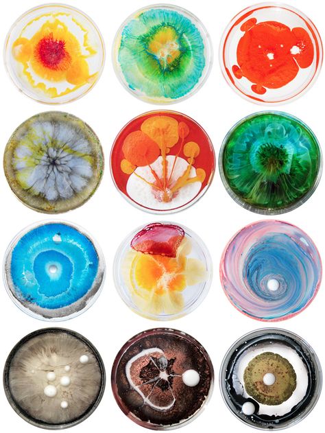 "For every day in 2013 San Francisco based artist Klari Reis will be creating art within the confines of plexiglass petri dishes for a project called The Daily Dish, which is a continuation of a project she completed back in 2009. Klari uses layers of reflective epoxy polymer to create colorful and abstract paintings that look like living microorganisms." Via Daily Petri Dish – Honestly WTF Klari Reis, Macro Fotografie, Petri Dishes, Biology Art, Bio Art, Petri Dish, Gcse Art, Arte Inspo, Science Art