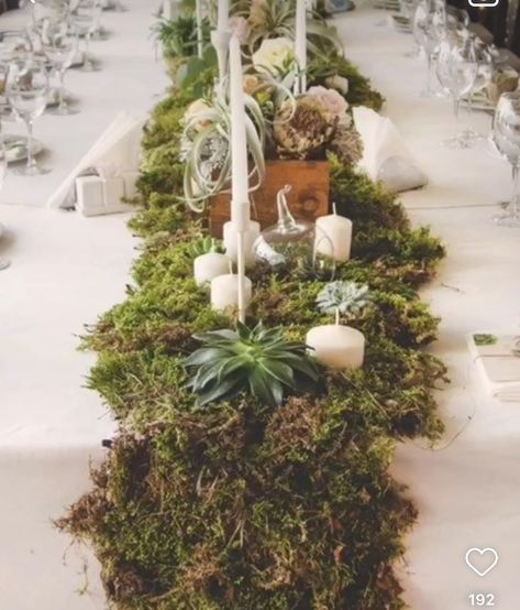 Moss Aisle Runner, Moss Wedding Decor Forest Theme, Woodsy Centerpieces Wedding, Hobbit Decorations, Moss Wedding Centerpiece, Moss Tablescape, Moss Table Decor, Moss Wedding Table, Moss Centerpiece Wedding