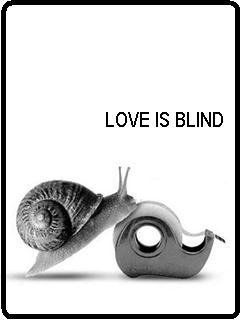 :/ Optometry Humor, Animal Funnies, Love Is Blind, Pictures Of The Week, 웃긴 사진, Memes Humor, Funny Funny, Funny Pics, A Word