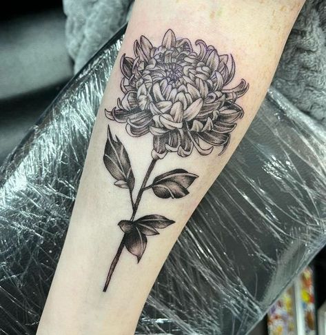 Peony Tattoo Black And White, Peony Tattoo Black, Chrysanthemums Tattoo, Tattoo Black And White, Peony Tattoo, Chrysanthemum Tattoo, Spider Lily, Lily Tattoo, Tattoo Black