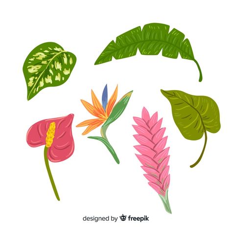 Tropical Flower Illustration, Tropical Flowers Illustration, Tropical Flowers Pattern, Pink And White Background, Jungle Flowers, Gerbera Flower, Tropical Illustration, Painted Fabric, Leaf Illustration