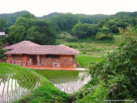 Korean Farmhouse, Korean Farm, Korea Drawing, Scene Reference, Earth Kingdom, Mineral Makeup, Countryside House, Traditional Korean, Gold Dust