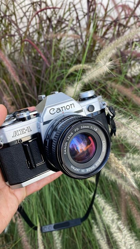 Canon Ae-1 35mm Film Camera, Film Camera Accessories, Canon Ae 1 Aesthetic, Ae-1 Canon, Canon Ae1 Photography, Canon Ae 1 Photos, Nature Aesthetic Vintage, Film Photography Landscape, Canon Film Camera