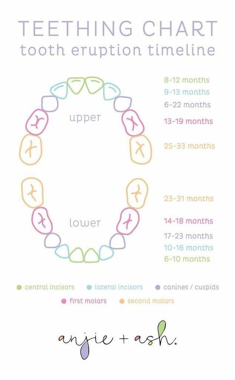 (paid link) Milestones track expansion in a wide variety of developmental areas, including growth, hearing, vision, explanation and coordination, verbal and social skills, and ... Baby Teeth Chart, Teeth Eruption Chart, Baby Charts, Baby Teething Chart, Baby Tooth Chart, Baby Timeline, Teeth Chart, Smile Tips, Teething Chart