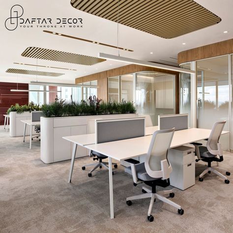 Our design mixes clean lines and fancy details to make your workspace awesome. Feel the vibe where your office looks cool and helps you work better. 😍🏢 Design your office with @daftardecor! Contact Us:- Call - 9875929307 📞 #OfficeUpgrade #modernstyle #daftardecor #moderndesign #Corporate #modernoffice #corporateofficedesigns #office #designs #workspace #officeworkspace #interiors #officeinteriordesign Office Space Interior, Open Concept Office, Cabin Office, Acoustic Ceiling Panels, Davis Furniture, Open Space Office, Modern Office Interiors, Corporate Office Design, Office Designs