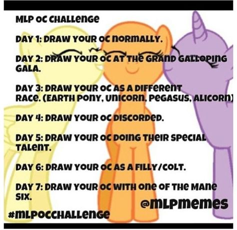 Draw Your Oc, Mlp Oc, Mlp Base, Oc Challenge, My Little Pony Drawing, Mlp Pony, Pony Drawing, Fluttershy, Rainbow Dash