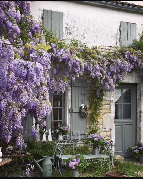 Purple Garden Aesthetic, Purple Cottage, Painted Boots, Lilac Tree, Purple Spring, Purple Garden, Lovely Lavender, Gray Aesthetic, Pretty Purple