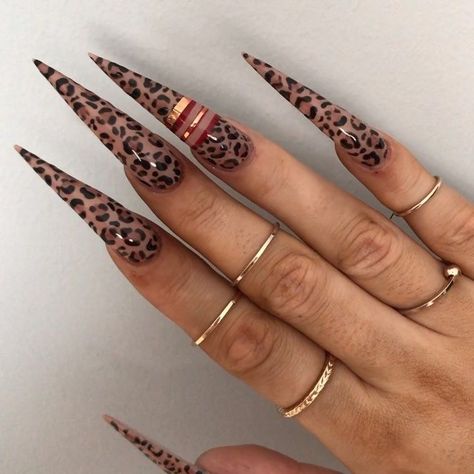 Acrylic Stiletto Nails, Stilleto Nails Designs, Nails Top, Light Elegance, Stiletto Nails Designs, Print Nails, Exotic Nails, Animal Print Nails, Glam Nails