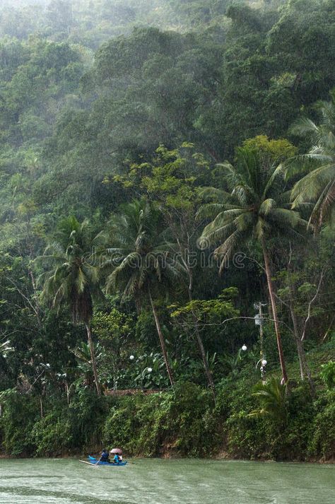 Rainy Island Aesthetic, Rainy Tropical Aesthetic, Rainy Jungle Aesthetic, Tropical Storm Aesthetic, Jungle Explorer Aesthetic, Tropical Rainforest Aesthetic, Rainy Rainforest, Tropical Jungle Aesthetic, Rainy Jungle