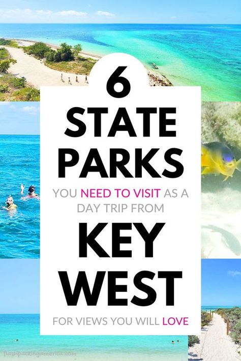 Florida state park day trip ideas. Read the blog for different types of things to do from Key West in Florida state parks! This includes a beaches, short nature trails, snorkeling, kayaking picnic spots, and more with amazing views! things to do in the florida keys. florida family vacation ideas. florida road trip. day trip from key west, key largo, islamorada. places to visit. fun activities for kids, teens, families. us travel destinations. flashpacking america florida keys. Rv Parks In Florida, Key West Florida Vacation, Florida Road Trip, Florida National Parks, Florida Keys Road Trip, America Florida, Florida Keys Beaches, Florida Family Vacation, Florida Aesthetic