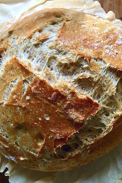 This 100% foolproof basic artisan bread recipe is made with just 4 ingredients — flour, water, yeast and salt. A favourite of novice and advanced bakers alike, it requires just 20 minutes of hands-on prep time to make! | #bread #dutchovenbread #homemadebread #artisanbreadrecipes #homemadebreadrecipes #dutchovenbread #easybreadrecipes #noknead #artisanbreads Overnight Artisan Bread, Whole Wheat Artisan Bread, Easy Artisan Bread, Artisan Bread Recipe, Knead Bread Recipe, Homemade Bread Recipes Easy, Artisan Bread Recipes, No Knead Bread, No Knead