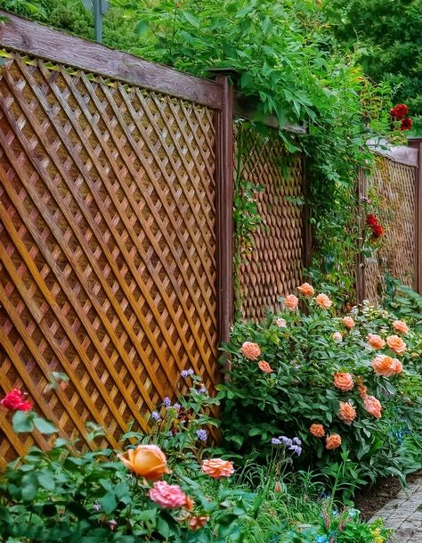 Lattice Panel Fence Diy Lattice Privacy Screen, Lattice Fence Panels, Lattice Patio, Lattice Garden, Panel Fence, Natural Curtains, Playground For Kids, Privacy Fence Ideas, Natural Fence