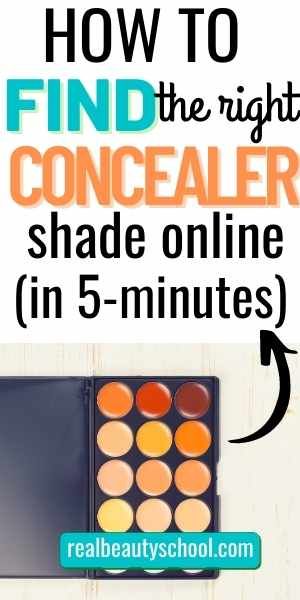 How to Choose the Right Concealer Shade (in 5 minutes) - Real Beauty School Concealer Tips, Best Drugstore Concealer, Perfect Concealer, Apply Concealer, Drugstore Concealer, Skin Undertones, Foundation Shade, Concealer Shades, How To Apply Concealer