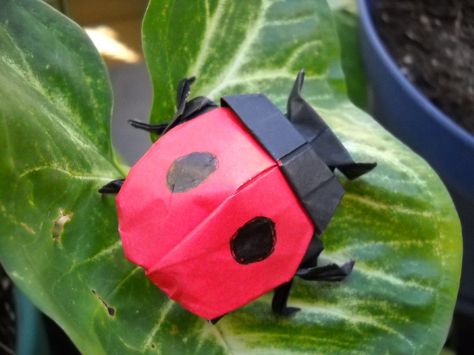 Origami Ladybug by Mindslave24-7.deviantart.com on @deviantART Origami Bugs, Origami Ladybug, Ladybug Ideas, Ladybug Design, Origami Birds, Ladybug Crafts, Origami Bird, Book Origami, Lady Bugs