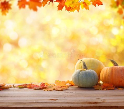 Autumn background with leaves and pumpkins.Harvest or Thanksgiving background. A #Sponsored , #PAID, #AD, #background, #Thanksgiving, #Harvest, #Autumn Church Thanksgiving Background, Background Thanksgiving, Leaf Pumpkin, Thanksgiving Background, Thanksgiving Harvest, Autumn Background, Harvest Thanksgiving, Vintage Autumn, Leaf Images