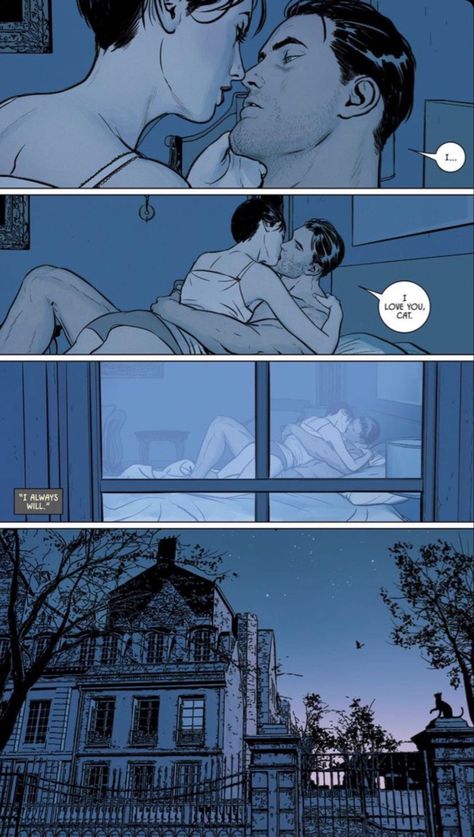 Bruce And Selina Comics, Selina X Bruce, Bruce X Selina, Bruce Selina, The Bat And The Cat, Bat And The Cat, Cat Batman, Mikel Janin, Tom King