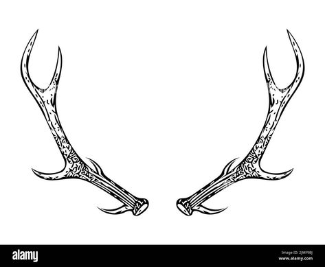 Drawing Reference Simple, Deer Antlers Drawing, Antler Drawing, Antlers Drawing, Antler Tattoo, Painted Antlers, Ideas To Paint, Drawing Water, Felt Hats