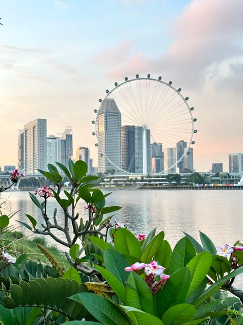 Garden By The Bay Singapore, Singapore Flyer, Green Island, Visit Singapore, Gardens By The Bay, Green City, Local Guide, In Nature, In The Garden