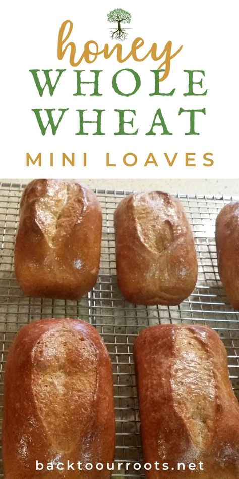 The Absolute Best Honey Whole Wheat Bread Recipe Mini Whole Wheat Bread, Mini Yeast Bread Loaves Recipes, Mini Bread Loaves Recipes Savory, Mini Bread Loaves Recipes Easy, Mini Bread Loaves Recipes, Mini Loaves Of Bread, Honey Whole Wheat Bread Recipe, Mini Loafs, Honey Whole Wheat Bread