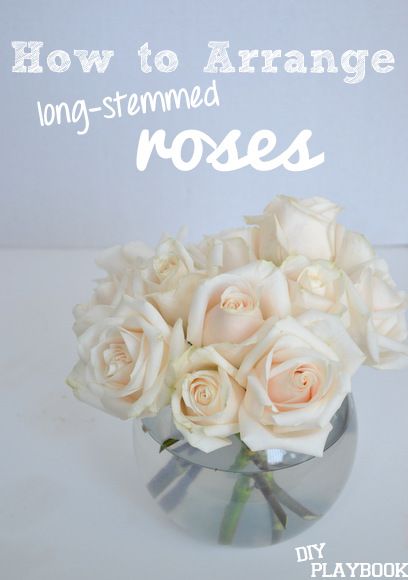 How to Arrange Long-Stemmed Roses in a rounded vase. #flowers, diy floral arrangements Flowers Arrangements Diy, Diy Playbook, Vase Flowers, Most Popular Flowers, Rose Centerpieces, Diy Arrangements, Diy Roses, Floral Arrangements Diy, Round Vase