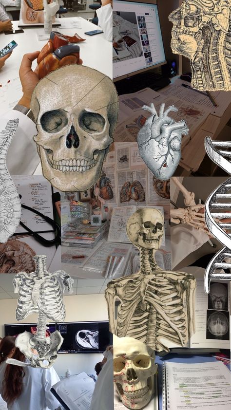 #anatomy #study #anatomyaesthetic #biology #hospital #motivation #aesthetic Forensic Pathology Aesthetic, Epidemiology Aesthetic, Pathology Aesthetic, Forensic Biology, Forensic Pathology, Motivation Aesthetic, Medical School Life, Forensic Science, Anatomy Study