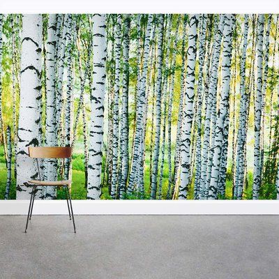 Mural Fabric, Birch Tree Forest, Birch Tree Wallpaper, Bamboo Trees, Tree Wall Murals, Tree Mural, Forest Wall Mural, Scenic Wallpaper, Green Bamboo