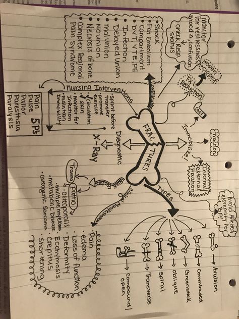 Hip Fracture Nursing, Fractures Nursing, Orthopaedic Nursing, Musculoskeletal Nursing, Nursing Flashcards, Orthopedic Nursing, Nursing School Life, Vet Tech School, Hip Fracture