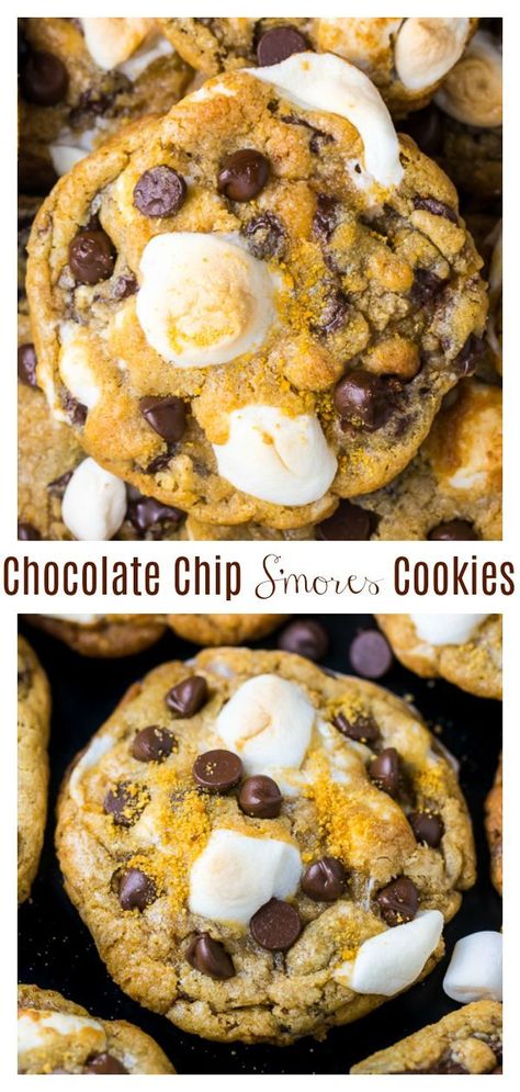 S Mores Cookies, How's It Going, Baker By Nature, Marshmallow Cookies, Love Cookies, Recipes With Marshmallows, S'mores, Brownie Cookies, Mini Marshmallows