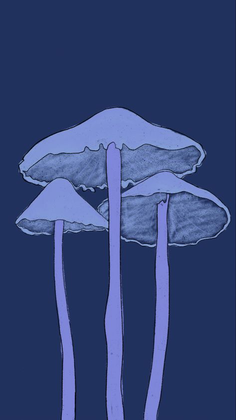 Trio Wallpaper, Purple Mushroom, Purple, Blue