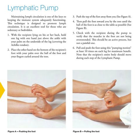 Lymph Drainage Massage, Top Essential Oils, Drainage Massage, Massage Therapy Techniques, Lymph Massage, Lymph System, Lymph Drainage, Massage Techniques, Reflexology