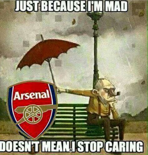 credit Arsenal updates Arsenal Memes, Arsenal Club, Arsenal Fc Wallpapers, Arsenal Wallpapers, Raiders Stuff, Raiders Nation, Raiders Baby, Oakland Raiders Football, Arsenal Players