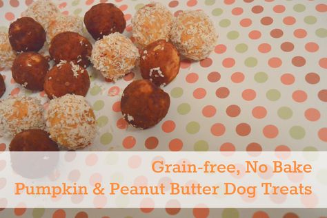 It’s Halloween, it’s busy and we know you’ve got a lot to do. That’s why this week’s tasty DIY Dog Treat recipe is so easy, you could do it in your sleep. Better yet, if you have a few of those tiny humans, this is the perfect recipe to keep them busy for a little… [read more] Dehydrator Dog Treats, Sweet Potato Dog Treats, Pet Snacks, Pet Treats Recipes, Banana Treats, Salmon And Sweet Potato, Pumpkin Oatmeal Cookies, Dog Treats Grain Free, Grain Free Dog Food