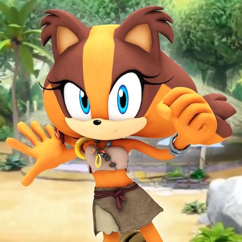 Sticks Sonic, Sonic Franchise, Blue Hedgehog, Sonic Adventure, Sonic Boom, Anime Cat, Cartoon Profile Pics, Bunny Girl, Cat Paws