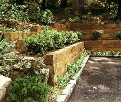 I'm thinking something like this will work for future herb garden area. That way I can walk along timbers to get to plants easily, and it will keep erosion down. Cedar Wood Retaining Wall, Tiered Landscape, Wood Retaining Wall, Railroad Tie, Terraced Garden, Railroad Ties, Garden Retaining Wall, Garden Walls, Hillside Garden