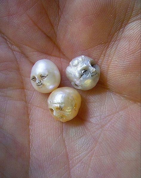 Japanese artist / jeweler Shinji Nakaba puts anatomical forms—skulls and flowers—into “wearable sculptures,” including human and animal skulls carved from oyster pearls. Oyster Sculpture, Shinji Nakaba, Skulls And Flowers, Human And Animal, Oyster Pearl, Skull Carving, Animal Skulls, Japanese Artists, Architectural Elements