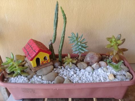 Fairy Garden Pots, Succulent Landscape Design, African Inspired Decor, Beautiful Terrariums, Plant Pot Diy, Dish Garden, Plant Decor Indoor, Fairy Garden Houses, Garden Containers