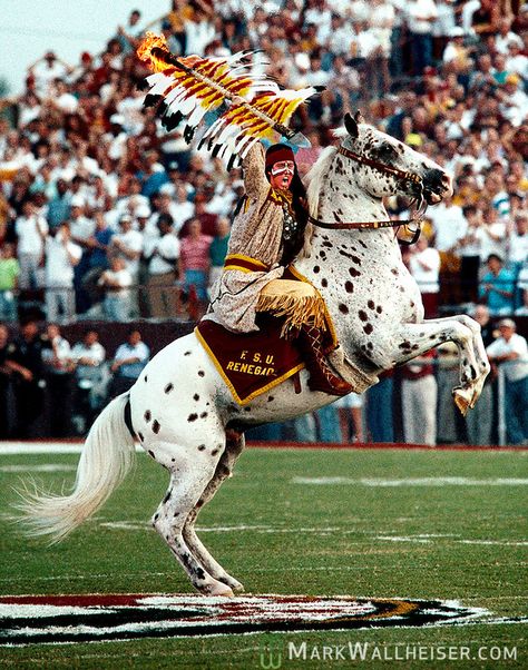 Chief Osceola atop Renegade at mid-field on Bobby Bowden field at Doak Campbell Stadium | Mark Wallheiser Doak Campbell Stadium, Bobby Bowden, Painted Window Art, Florida State University, Dream College, Florida State, Florida