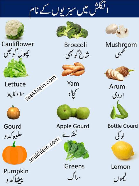 Urdu Writing, Urdu Vocabulary, Simple English Sentences, Basic English Grammar Book, Cauliflower Mushroom, Mushroom Broccoli, Learning Vocabulary, English Meaning, Study Chemistry