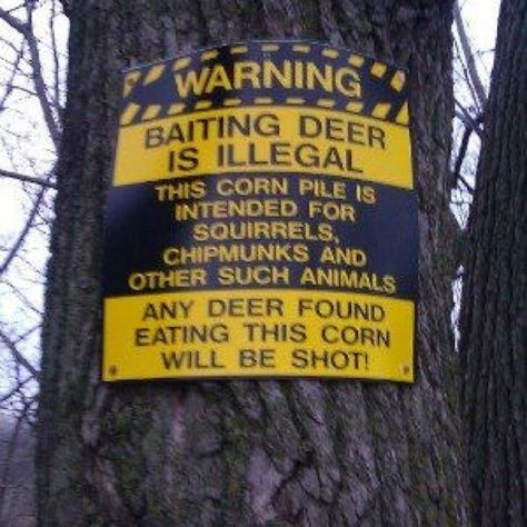 Deer hunting Deer Bait, Funny Hunting Pics, Deer Corn, Texas Humor, Hunting Quotes, Deer Signs, Funny Deer, Deer Season, Hunting Humor