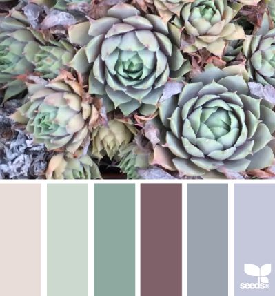 succulent hues: fence to shed colour scheme In Color Balance, Design Seed, Design Seeds, Color Balance, Colour Board, Paint Schemes, Colour Schemes, Color Pallets, My New Room