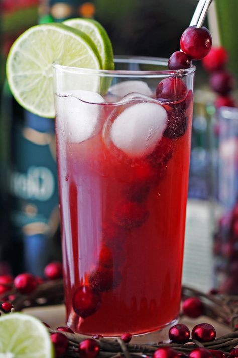 A tall highball glass of Cranberry Whiskey Ginger Cocktail with lime slices, fresh cranberries, and ice cubes. Cocktails With Cranberry Juice, Ginger Cocktail Recipes, Whiskey And Ginger Ale, Ginger Ale Cocktail, Cranberry Ginger Ale, Ginger Cocktails, Cocktail Recipes Whiskey, Homemade Apple Cider, Cranberry Cocktail