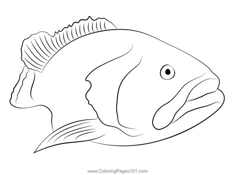 The Golden Grouper Coloring Page Drawing Preschool, Goliath Grouper, Grouper Fish, Fish Drawing, Fish Drawings, Free Kids, Goldfish, Printable Coloring Pages, Printable Coloring