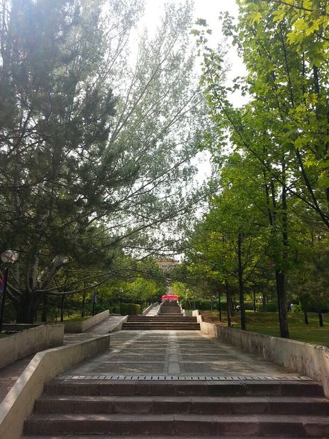 Bilkent University Godolkin University, Romanticize Study, Travel Mood, Highest Version, University Life, Amazing Flowers, Vision Board, University