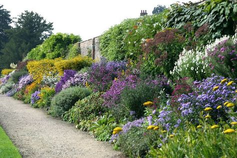 Divide and replant to get a border like Waterperry garden. Credit: Stuart Logan Small Garden Shrubs, Perennial Borders, Edge Garden, Design Backyard, Perennial Flower, Border Ideas, Vegetable Garden Planning, Garden Border, Herbaceous Border