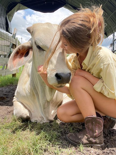 Pet Cows, Cow Pictures, Cattle Farming, Baby Cows, Shooting Photo, Cute Cows, Branding Photoshoot, Inspirational Pictures