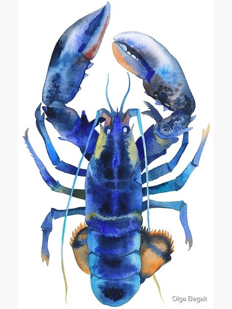 Blue Lobster, Pencil Watercolor, Graphic Design Collection, Pencil Painting, Sea Creature, Sea Food, Watercolor Techniques, Animal Paintings, Sea Creatures