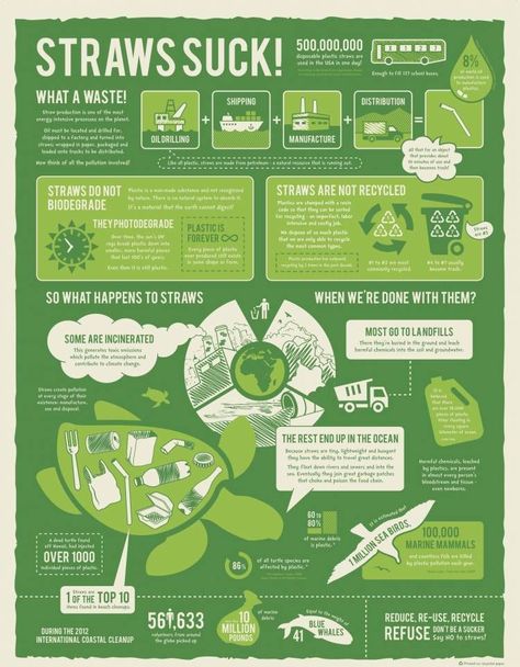 Eco-friendly bucket list to go green in 2020 Info Poster, Green Marketing, Infographic Layout, Green Poster, Infographic Inspiration, Fotografi Bawah Air, Graphic Design Infographic, Infographic Poster, 타이포그래피 포스터 디자인